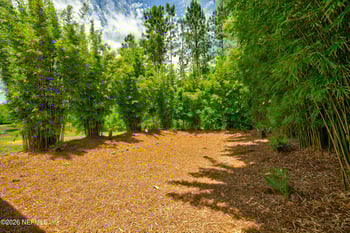 250 Shadow Cv, St Johns, FL 32259