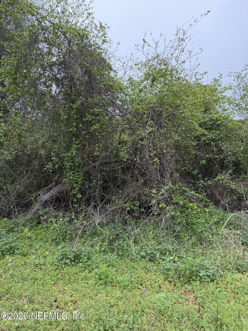 104 Kerry Dr, Satsuma, FL 32189