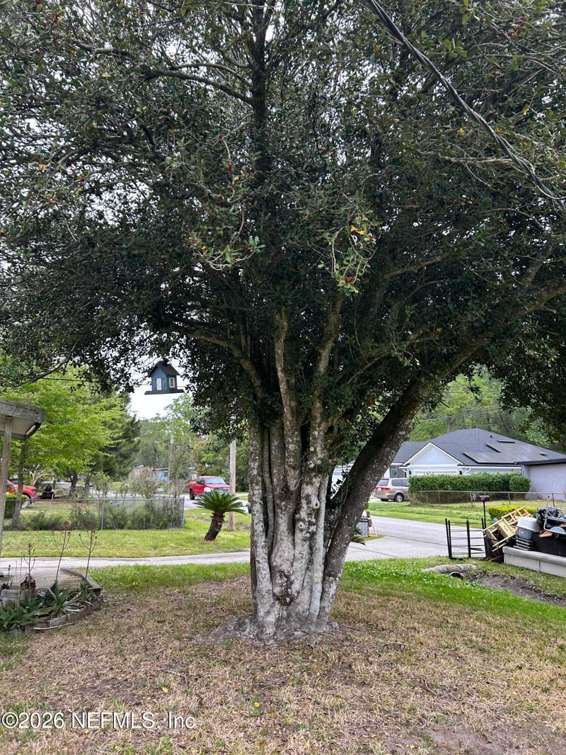 2916 Brackridge Blvd, Jacksonville, FL 32216