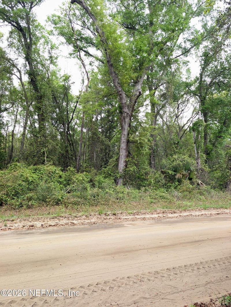 0260 Wilson Dr, Interlachen, FL 32148