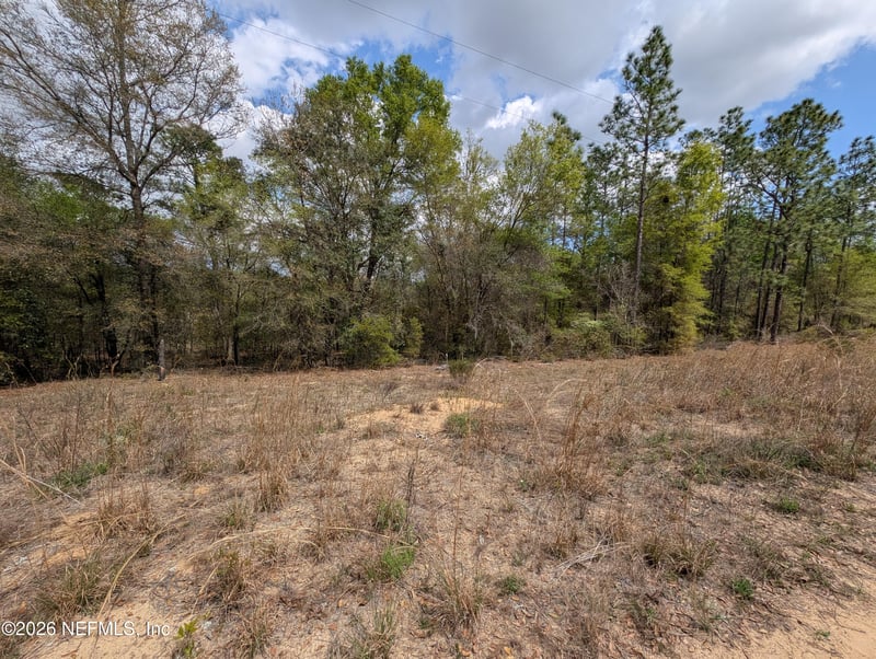 0190 Trout Lake Cir, Interlachen, FL 32148