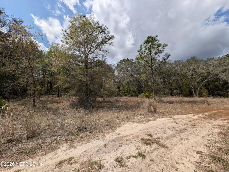 0190 Trout Lake Cir, Interlachen, FL 32148