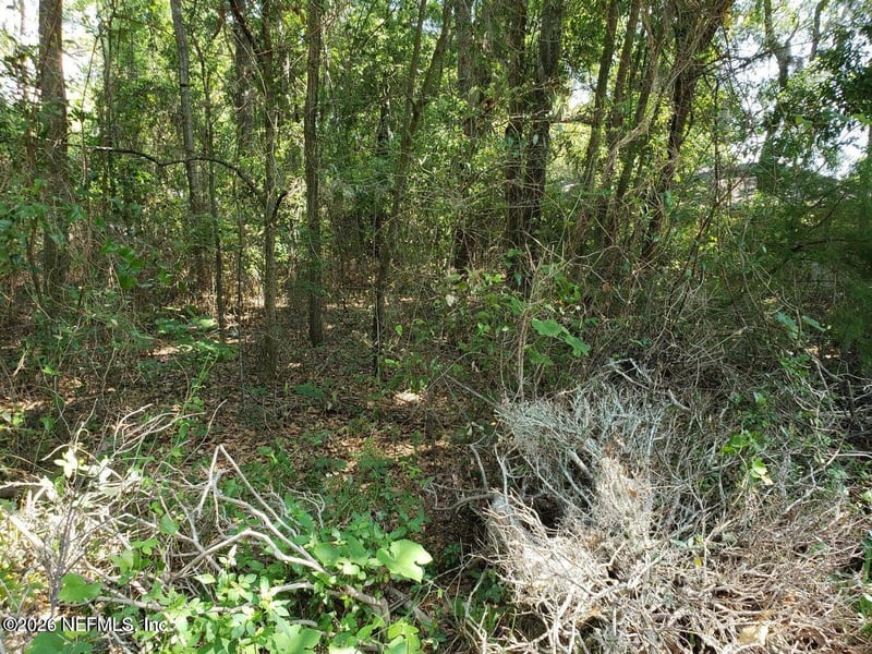 0 5th Ave, Jacksonville, FL 32208