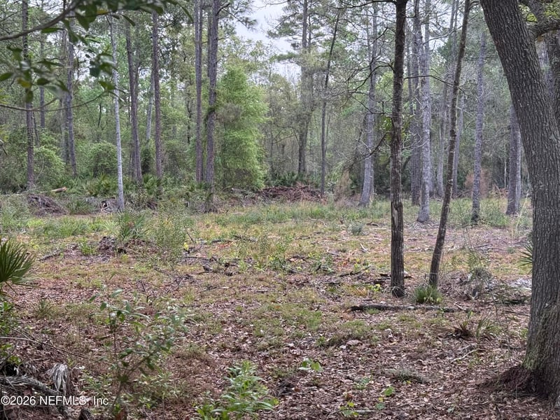 178 Sumter Rd, Satsuma, FL 32189