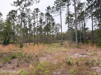 519 5th St, Satsuma, FL 32189