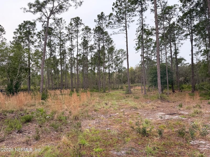 519 5th St, Satsuma, FL 32189