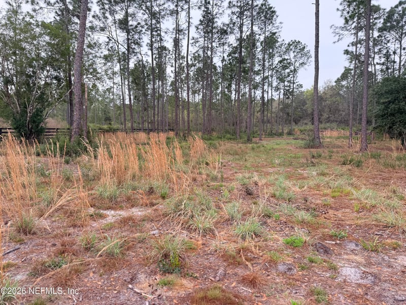 519 5th St, Satsuma, FL 32189