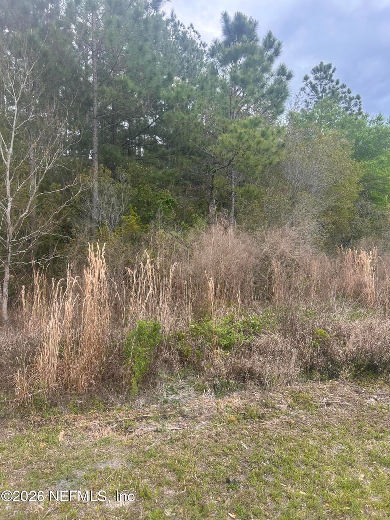 0 Slew Ct, Palatka, FL 32177