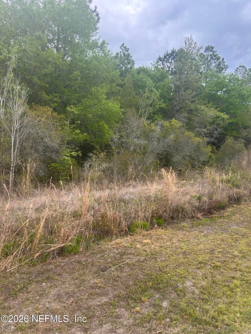 0 Slew Ct, Palatka, FL 32177