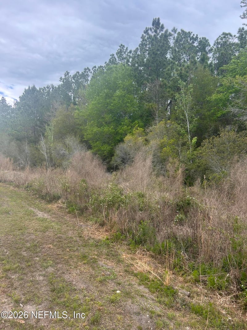 0 Slew Ct, Palatka, FL 32177