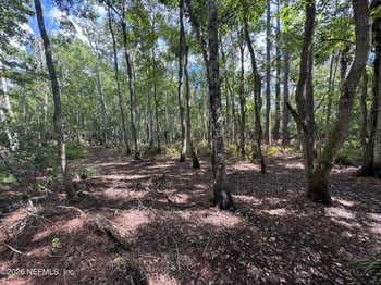 Bruen St, St Augustine, FL 32084