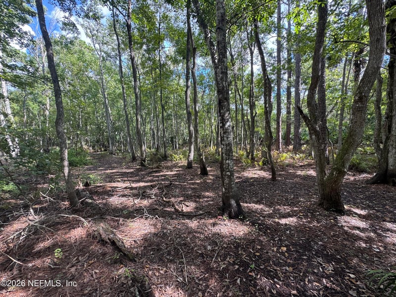 0 Bruen St, St Augustine, FL 32084