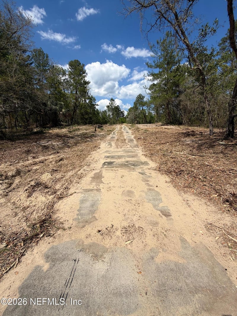 110 Lincoln St, Satsuma, FL 32189