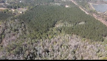 O Lazy Pines Rd, Glen St Mary, FL 32040