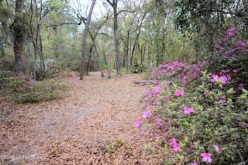 707 Hillsborough Ave, Florahome, FL 32140