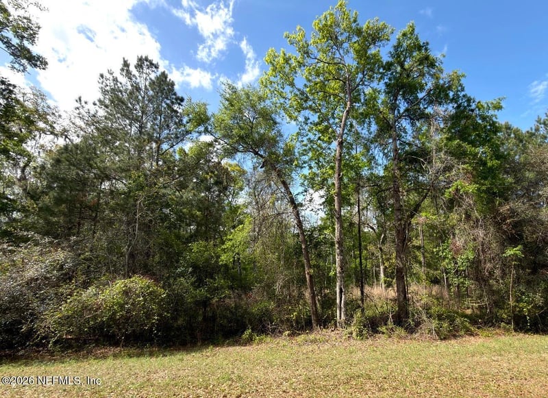 4501 Tarragon Ave, Middleburg, FL 32068