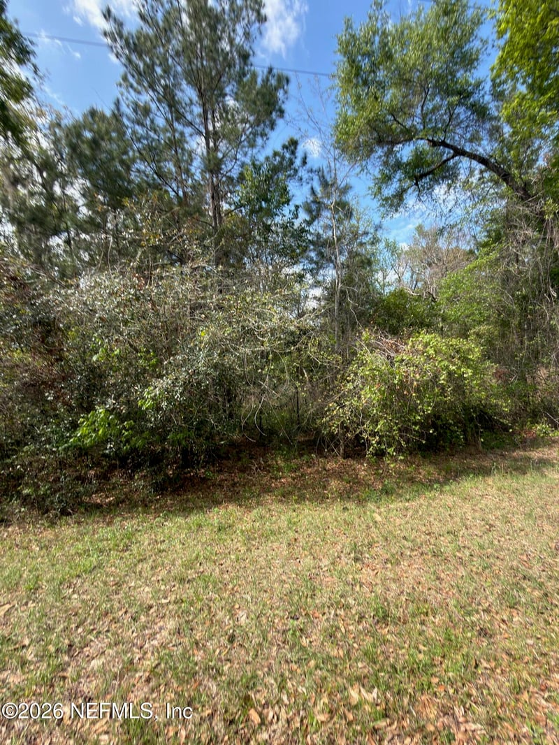 4501 Tarragon Ave, Middleburg, FL 32068