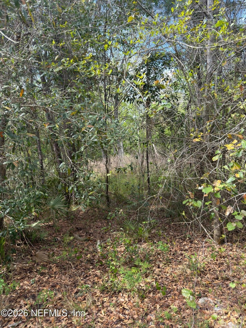 4501 Tarragon Ave, Middleburg, FL 32068