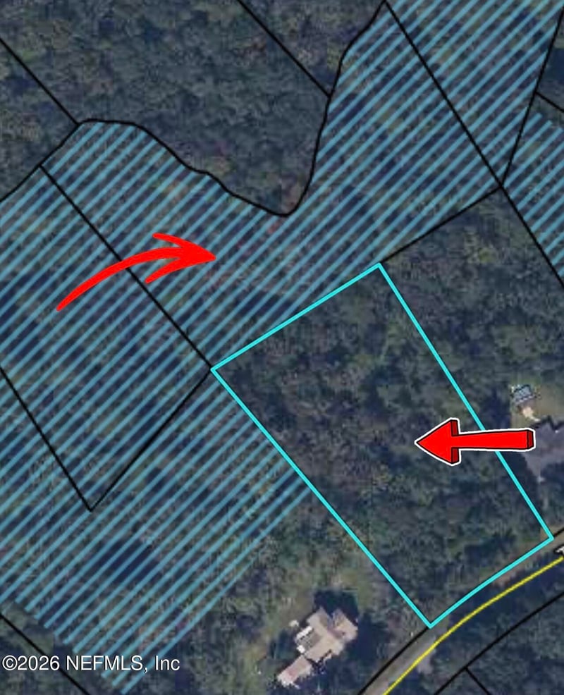 4501 Tarragon Ave, Middleburg, FL 32068