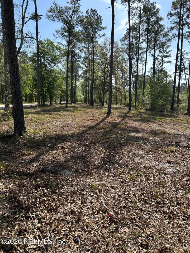 0 Falling Creek Rd, Lake City, FL 32055