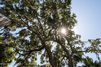 5371 Church Rd, St Augustine, FL 32092