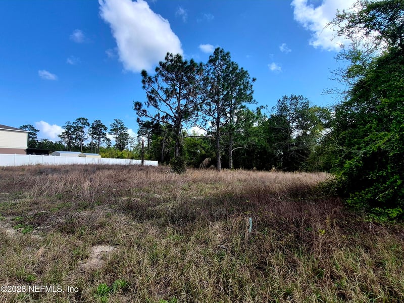 427 River Hill Dr, Welaka, FL 32193