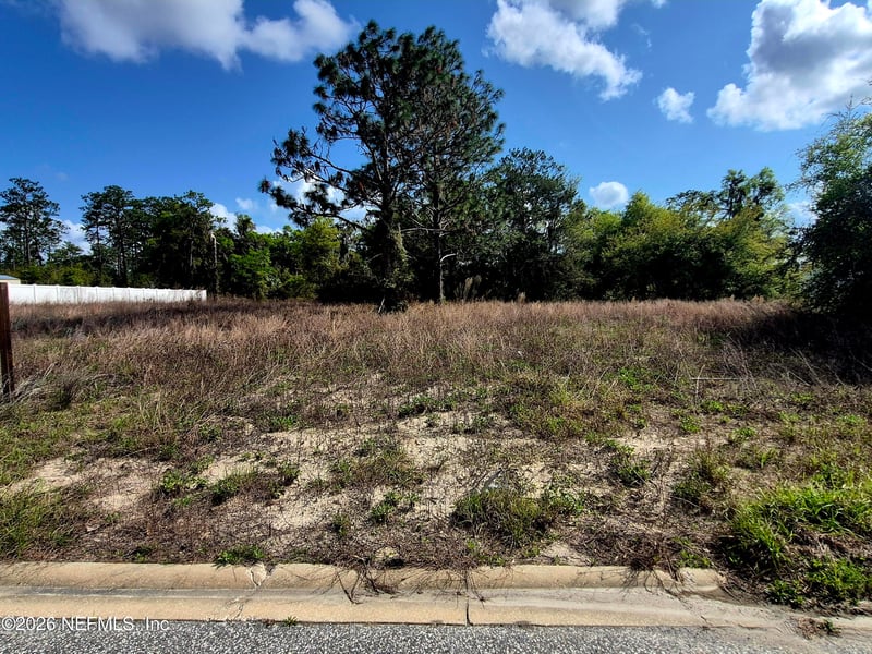 427 River Hill Dr, Welaka, FL 32193