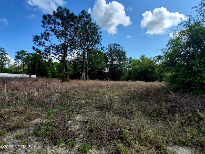 427 River Hill Dr, Welaka, FL 32193