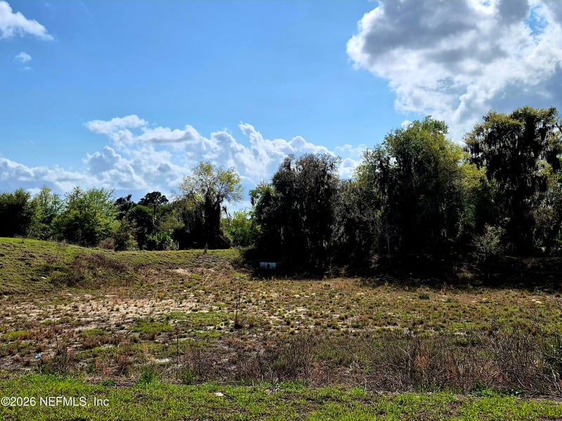 427 River Hill Dr, Welaka, FL 32193