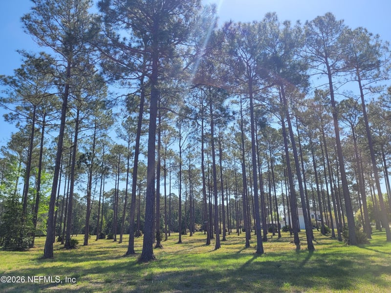 11019 Derby Chase Ct, Jacksonville, FL 32219