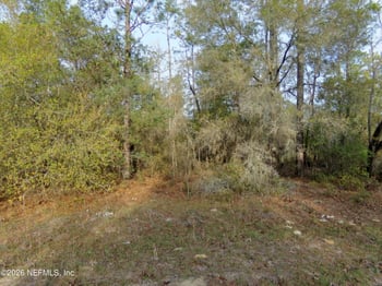 111 Brass St, Interlachen, FL 32148