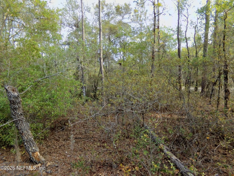 111 Brass St, Interlachen, FL 32148