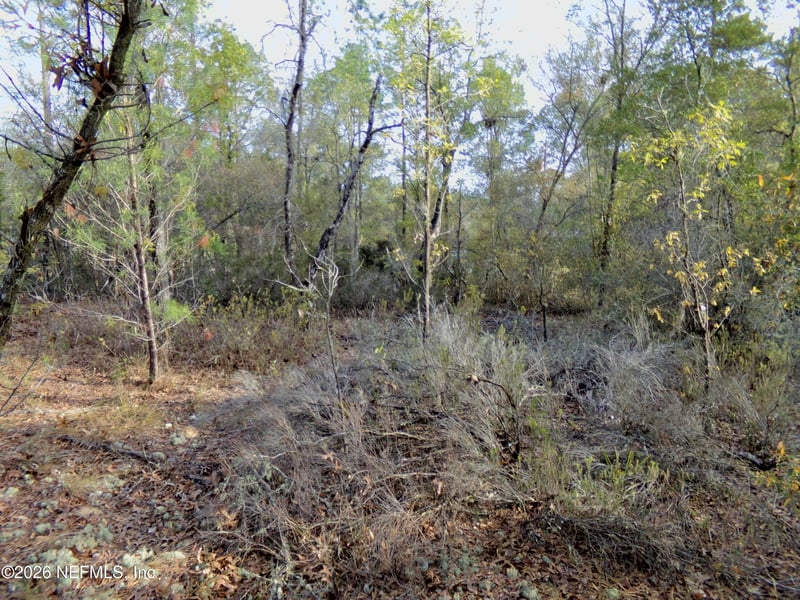 111 Brass St, Interlachen, FL 32148