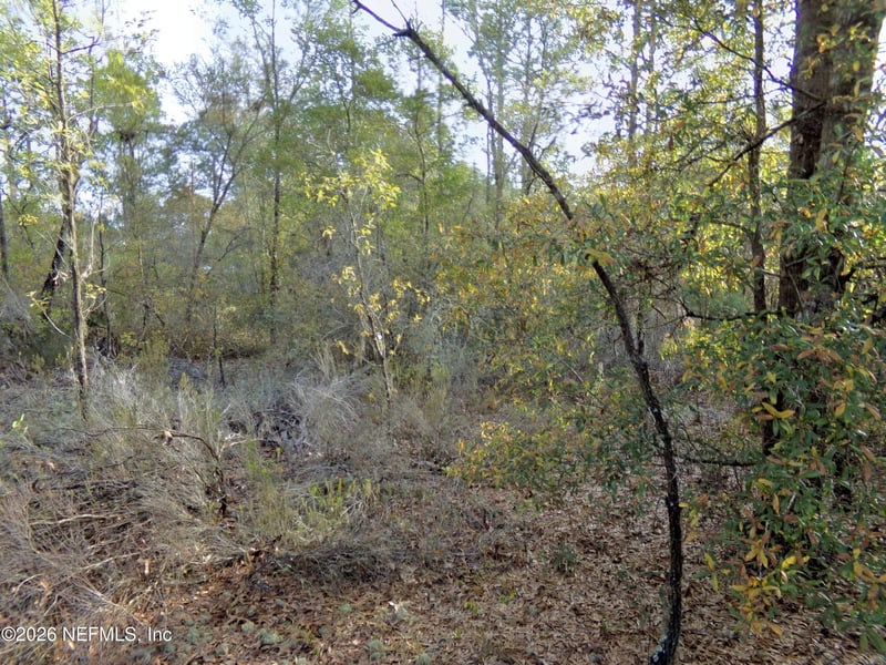 111 Brass St, Interlachen, FL 32148