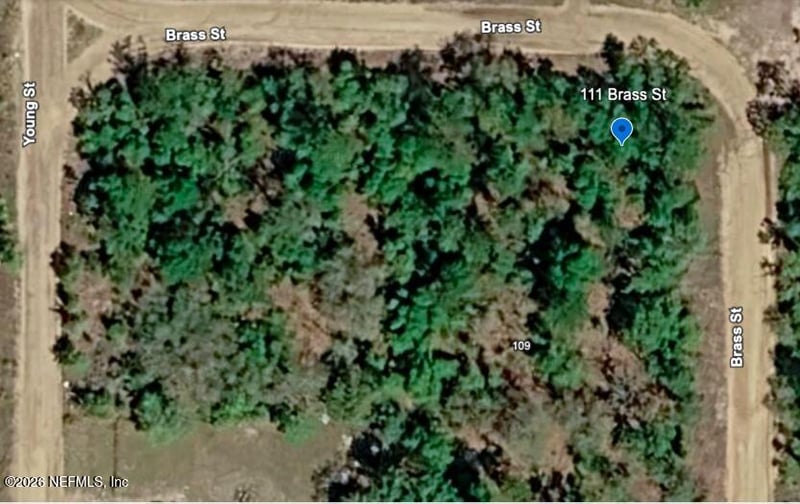 111 Brass St, Interlachen, FL 32148