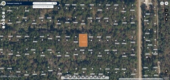 329 Chipola Dr, Georgetown, FL 32139