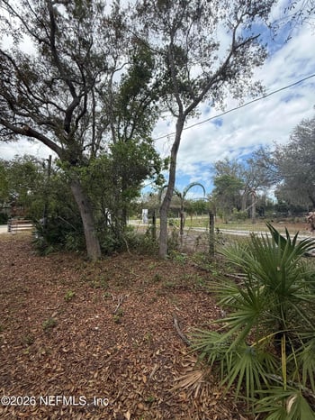 228 Browns Hammock Rd, Crescent City, FL 32112