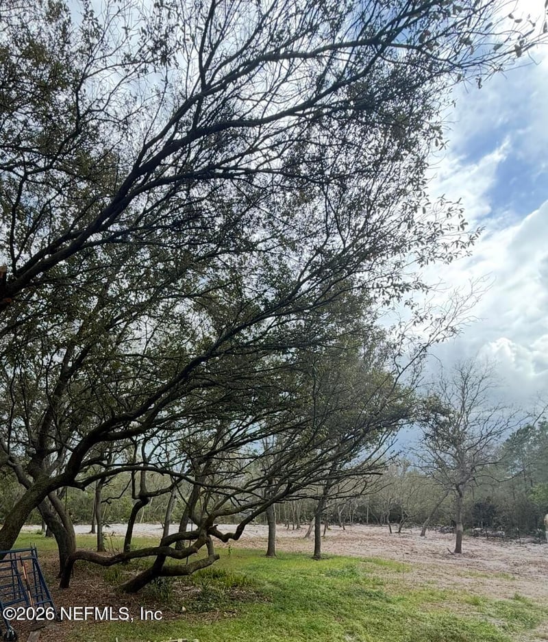 228 Browns Hammock Rd, Crescent City, FL 32112