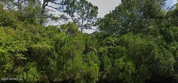 4029 Packard Dr, Jacksonville, FL 32246