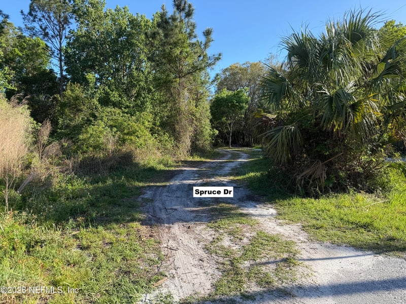 329 Chipola Dr, Georgetown, FL 32139