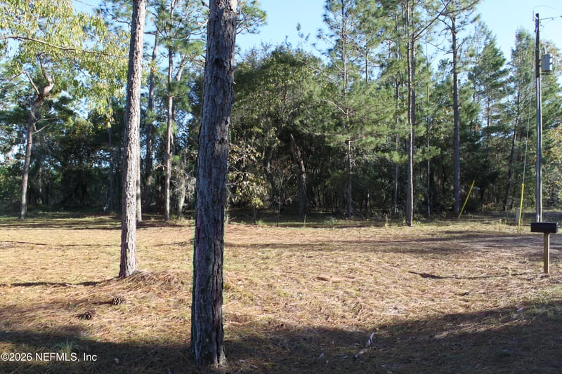 221 Magnolia Rd, Hawthorne, FL 32640