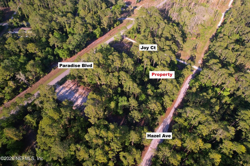 140 Hazel Ave, Georgetown, FL 32139