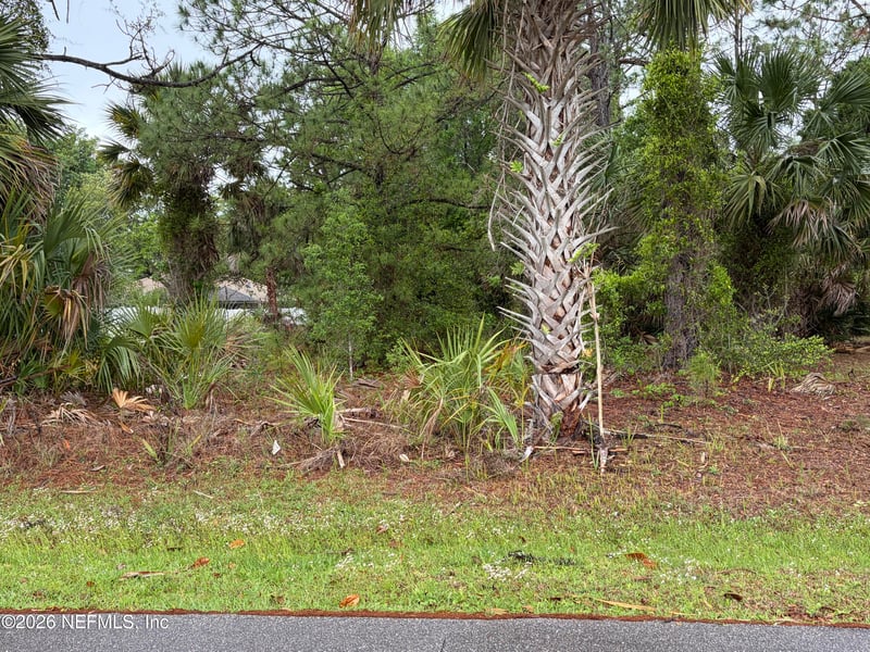 31 Whittingham Ln, Palm Coast, FL 32164