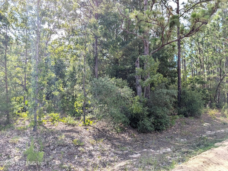 7676 Los Padres Ave, Keystone Heights, FL 32656