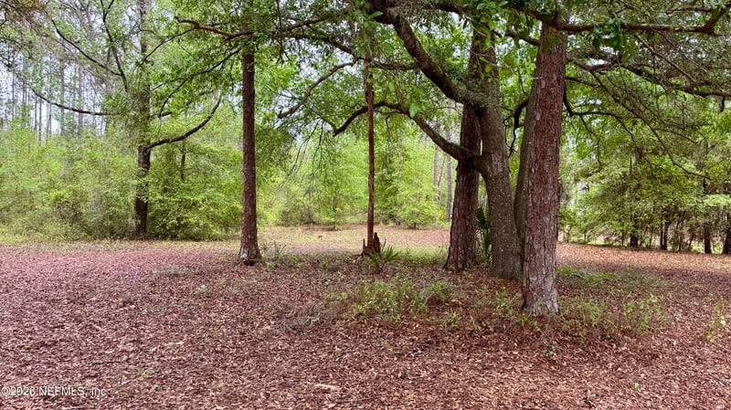 116 James Ave, Interlachen, FL 32148