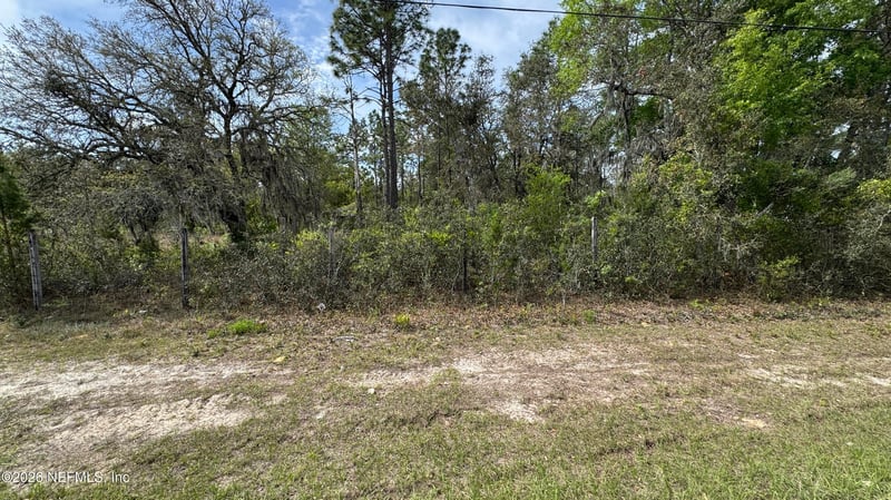 00 State Rd 20, Interlachen, FL 32148