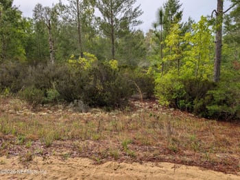 LOT 34 10th St, Interlachen, FL 32148