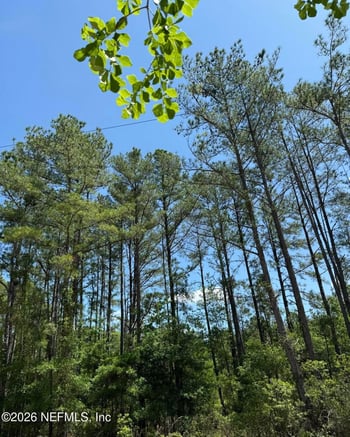 TBD 20th Ln, Lawtey, FL 32058