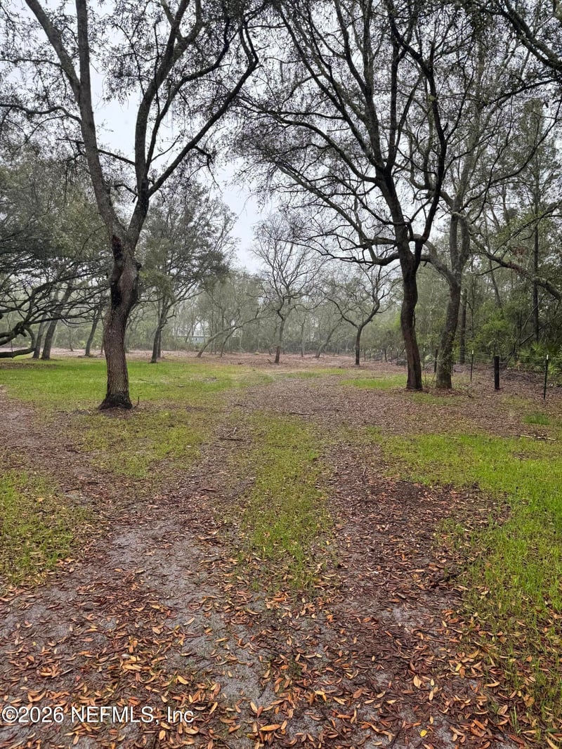 228 Browns Hammock Rd, Crescent City, FL 32112