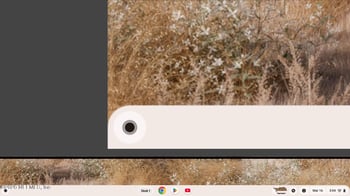 1352 Mount Herman St, Jacksonville, FL 32209